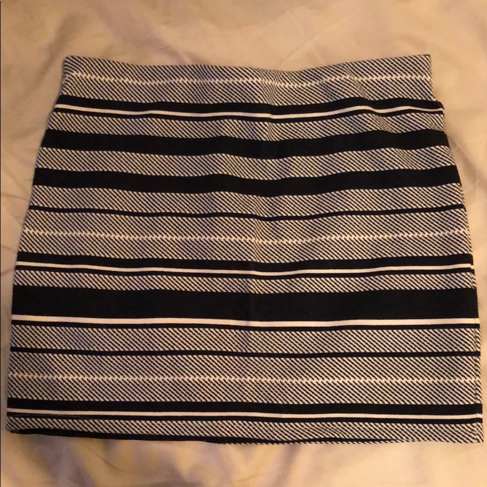 Zara Skirt